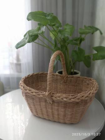 Грибная корзина