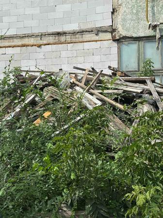 Бесплатно деревянные рамы от окон и дерево Район Шанхай