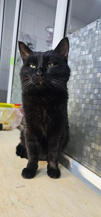 Добрая душа, отзовись!