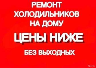 Профессиональная Ремонт Холодильник морозильник на Дому