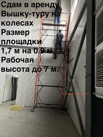 Сдам в аренду леса строительные