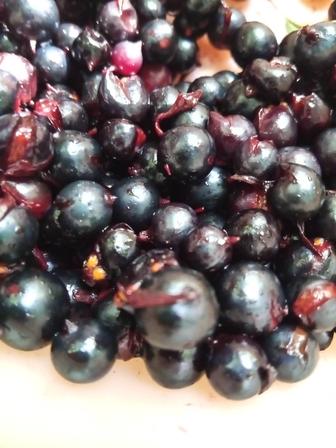 Продам ягоду черная смородина