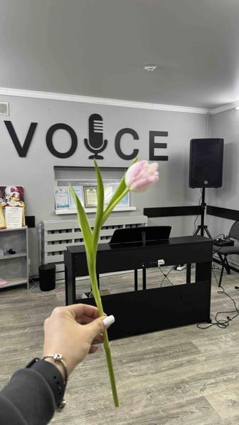 Вокальная студия VOICE объявляет набор детей и взрослых