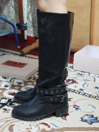 Сапоги женские