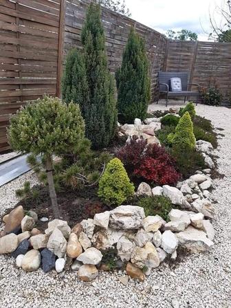 Озеленение территории под ключ