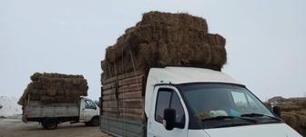 продаю сено тюк житьняк с доставкой на дом