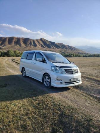 Пассажирские перевозки