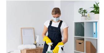 Клининговая компания у Дами