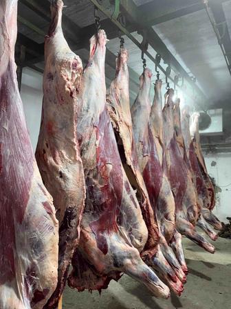 Говядина в полутушах