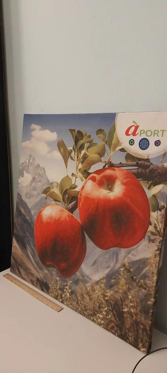 Картина АПОРТ