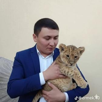 Муж на чась