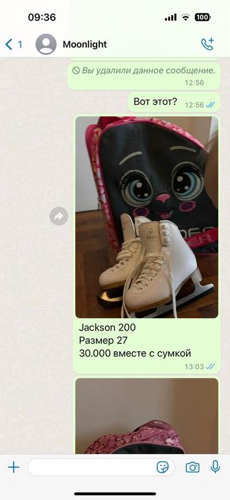 Профессиональные коньки Jackson 200