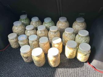 Грибы соленые, грузди , подтопольники