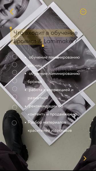 Базовый курс Бровист Lamimaker c 0