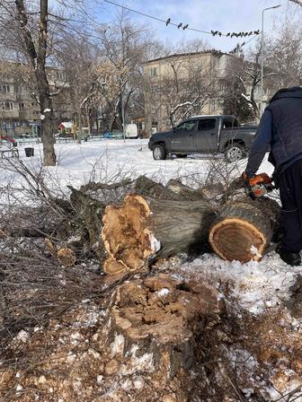 Услуги санитарные обрезки и снос удаление аварийных веток