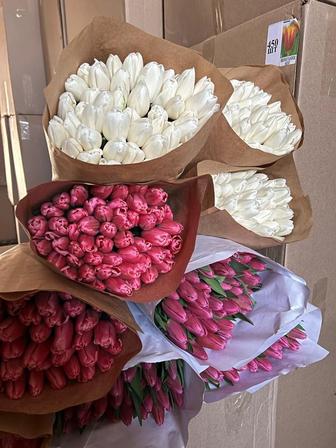 Продаем тюльпаны