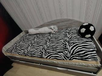 Продам кровать