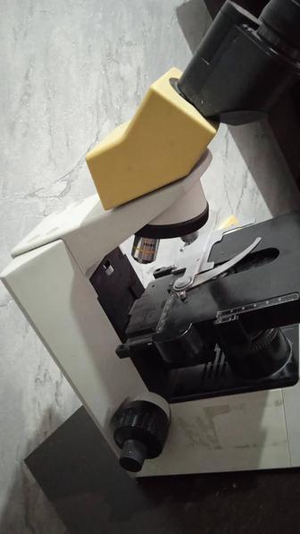 Микроскоп Олимп СХ 31