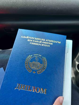 Помощь студентам педагогических факультетов