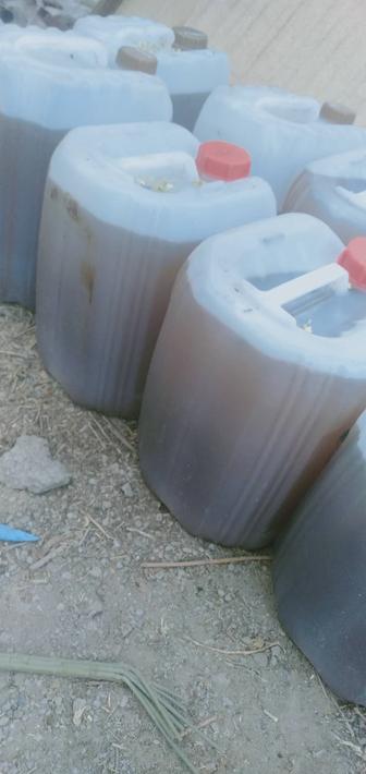 Покупка масло хлопок