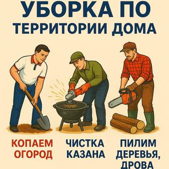 Уборка территории дома_плюс надежный помощник