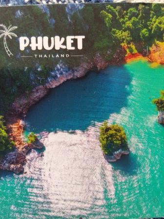 Водитель с личным авто Чан Ган, в поиске свободной вакансии.