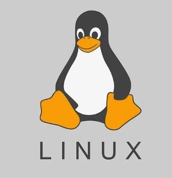 Курсовые, рефераты по ОТ (Linux итп). Информационная безопасность.