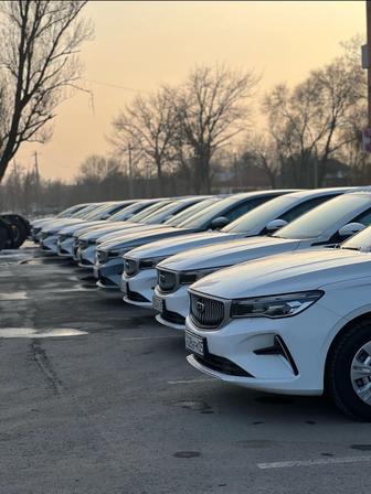 Аренда новых автомобилей посуточно geely emgrand