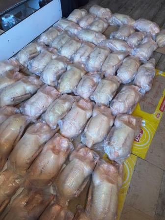 Продам домашних гусей