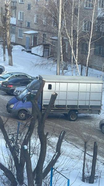 Грузоперевозки