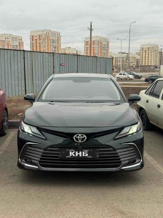 Трезвый водитель