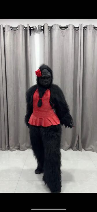 Аниматор Горилла Хлоя