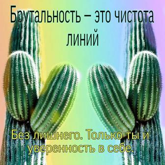 Мужской шугаринг