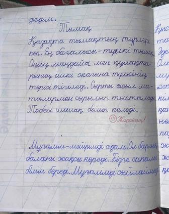 Репетитор Бастауыш сынып оқушыларына