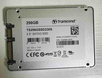SSD Transcend 256GB