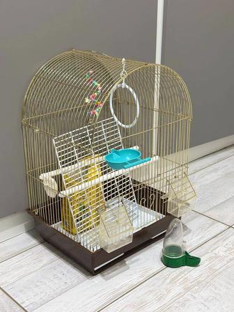 Клетка для попугая