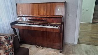 Фортепиано Беларусь