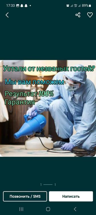 Дезинфекция Дезинсекция Дератизация Фумигация