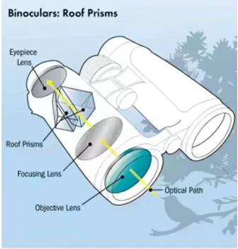 Бинокль Roof prism 10x42