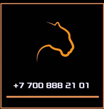 Продам отличный номер Алтел!!!