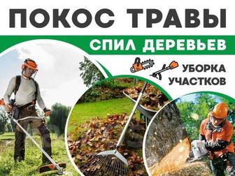 Все виды услуги по саду и огороду
