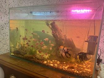 Продам аквариум