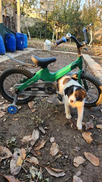 Детские велосипеды