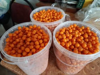 Свежая Облепиха на продажу