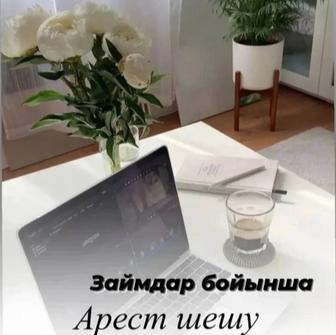 Снятие ареста со счетов /арест шешу