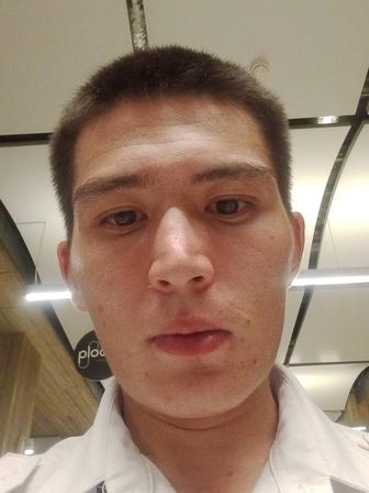 Документовед