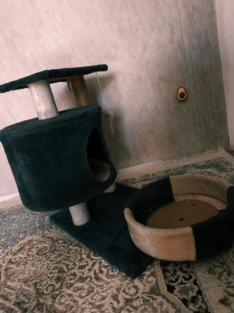 Домик для кошки
