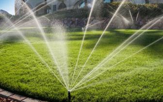 Автополив газона