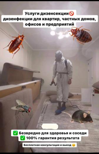 Дезинфекция, дератизация