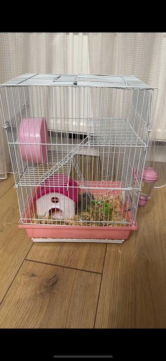 клетка для хомяка